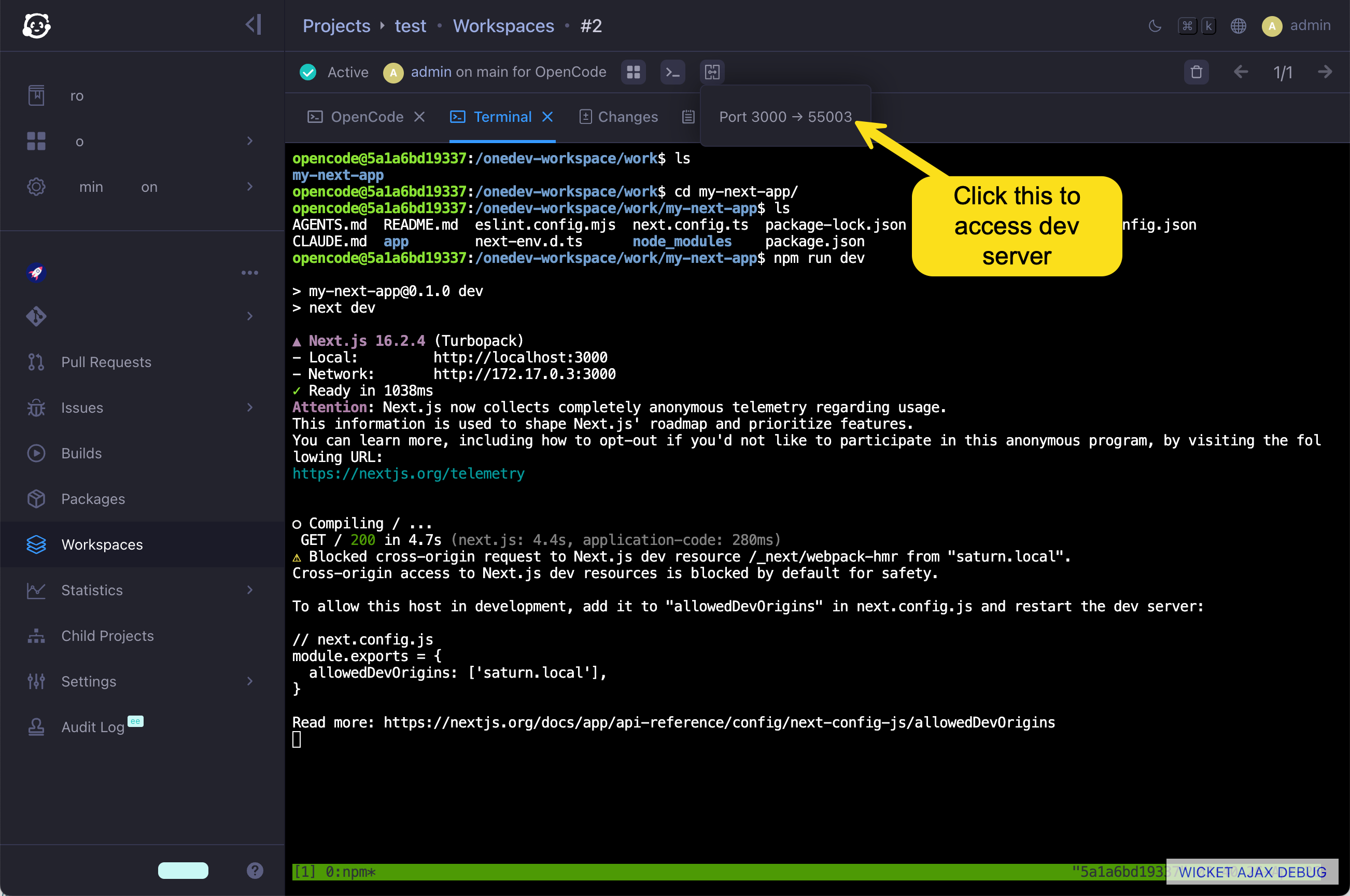 access dev server