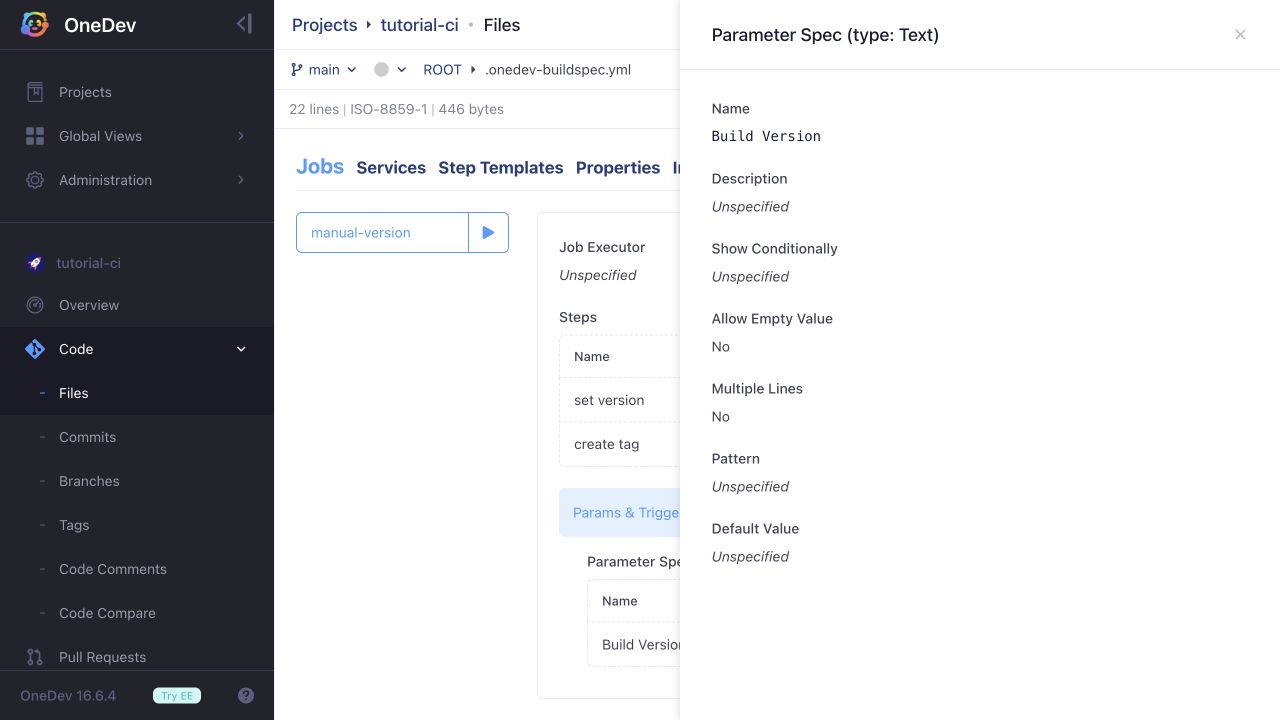 Build Version text parameter
