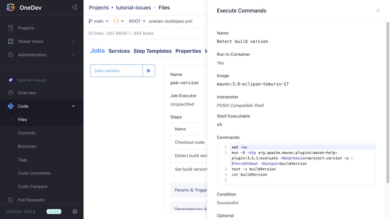 Extracting the Maven project version