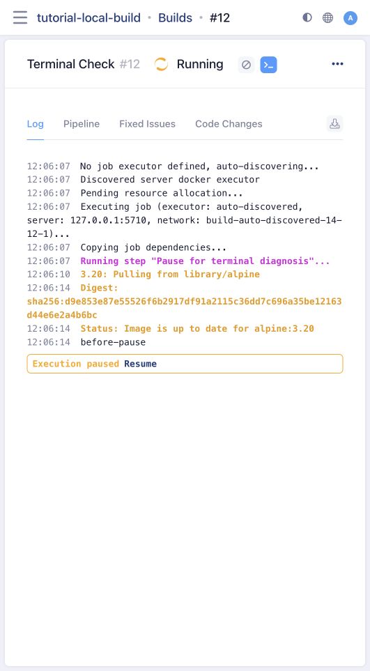 Paused command step and terminal button
