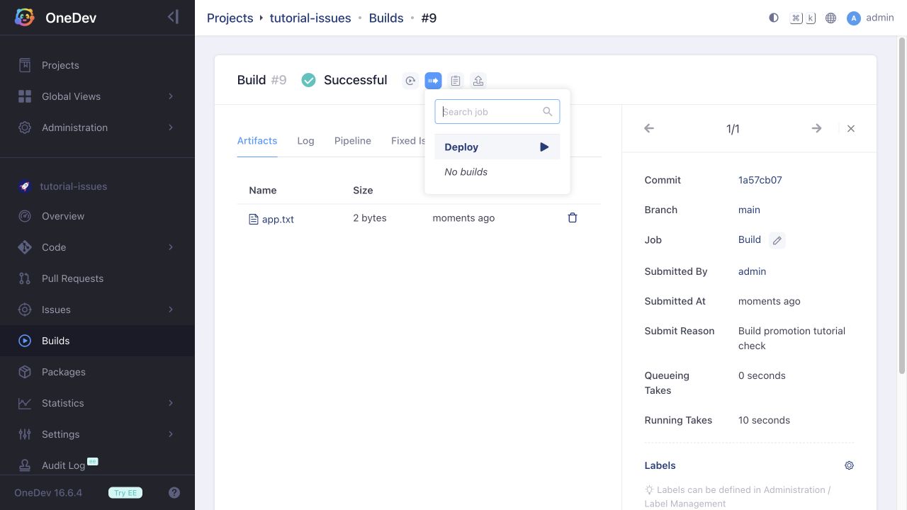 Promoting a successful build